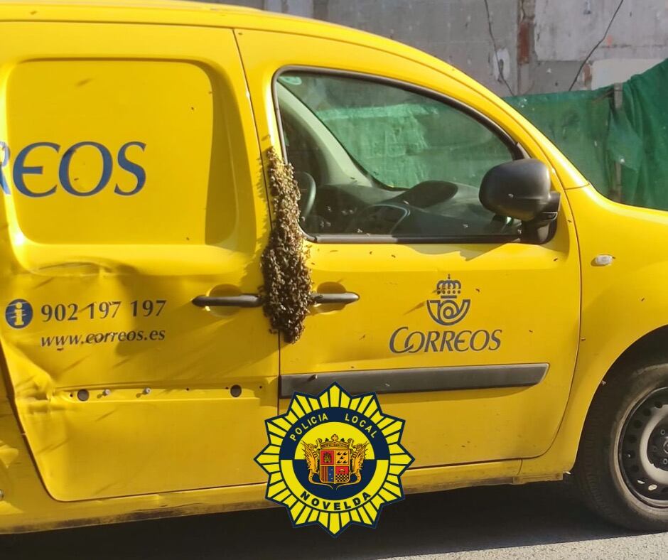 Un panal de abejas en una furgoneta de correos.