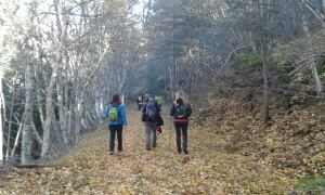 De ruta por el Pinar, naturalmente limpio