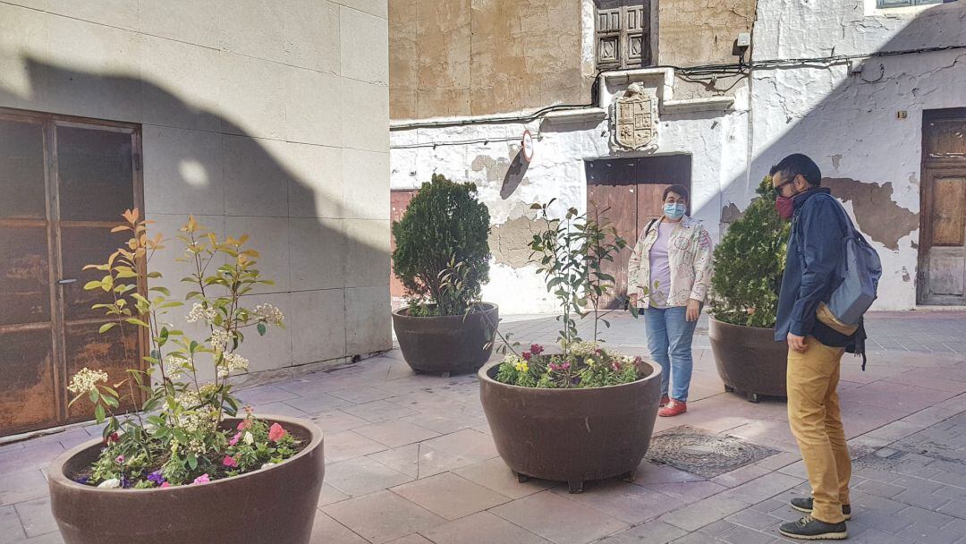 Maceteros en la calle de San Antón