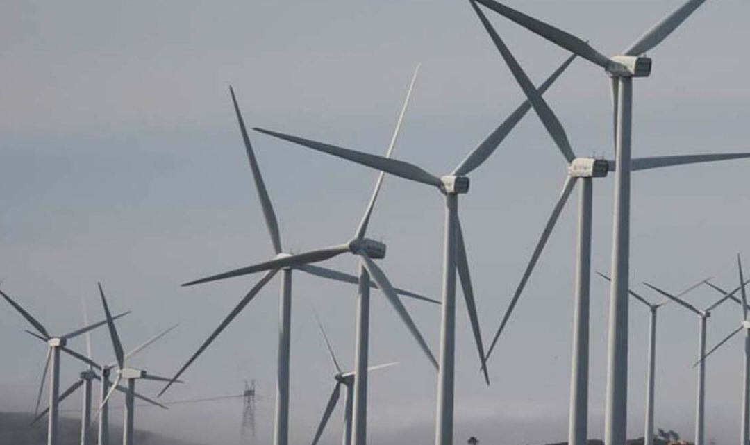 Una veintena de colectivos de Cantabria pide la paralización de los proyectos eólicos y exige más transparencia.