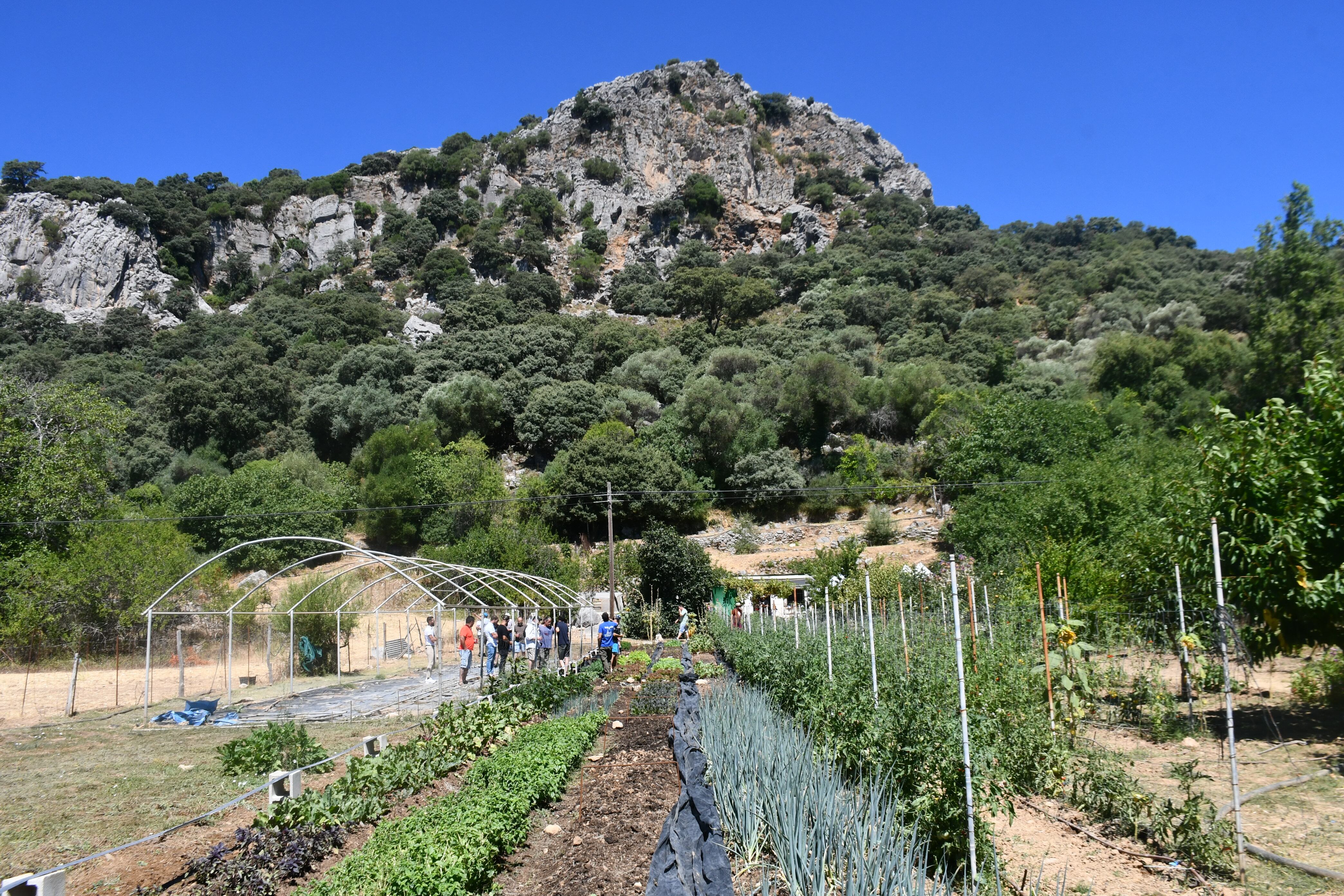 Una de las fincas experimentales del proyecto es La 21, en la zona conocida como Albalate, en el término municipal de Benalauría