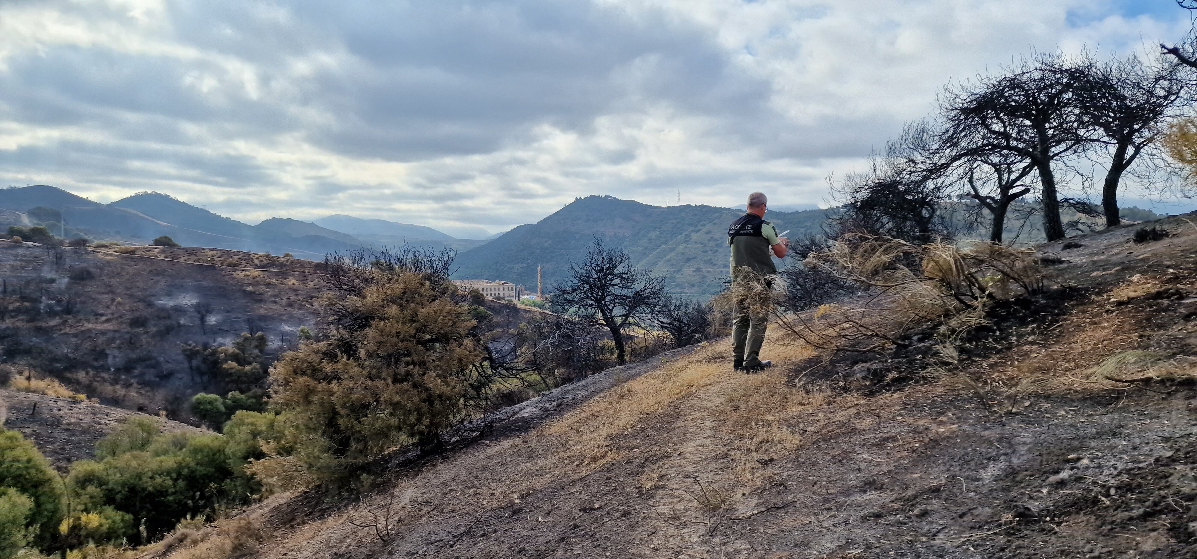 Un trabajador del INFOCA, en el punto donde se sospecha que comenzó el fuego del Cerro de San Miguel en Granada