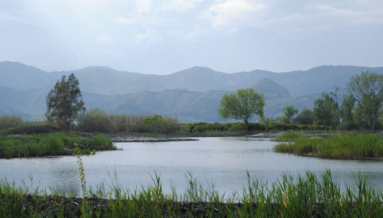 Imagen de la marjal de Gandia, uno de los espacios verdes de la ciudad que ahora gestionará una empresa privada. 