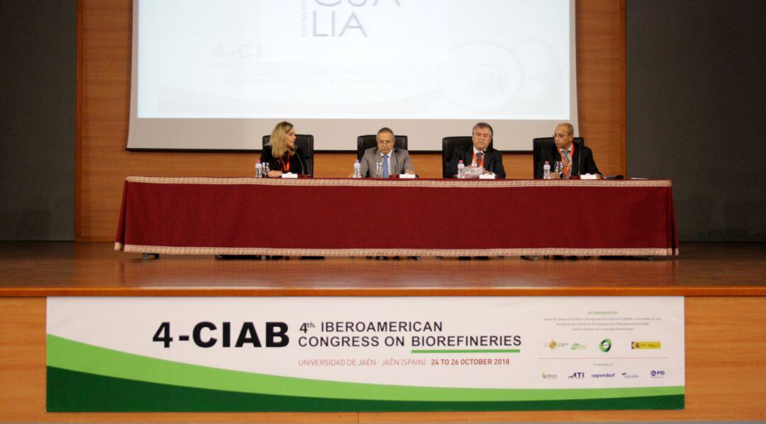 Ponentes de la Universidad de Jaén durante el congreso.