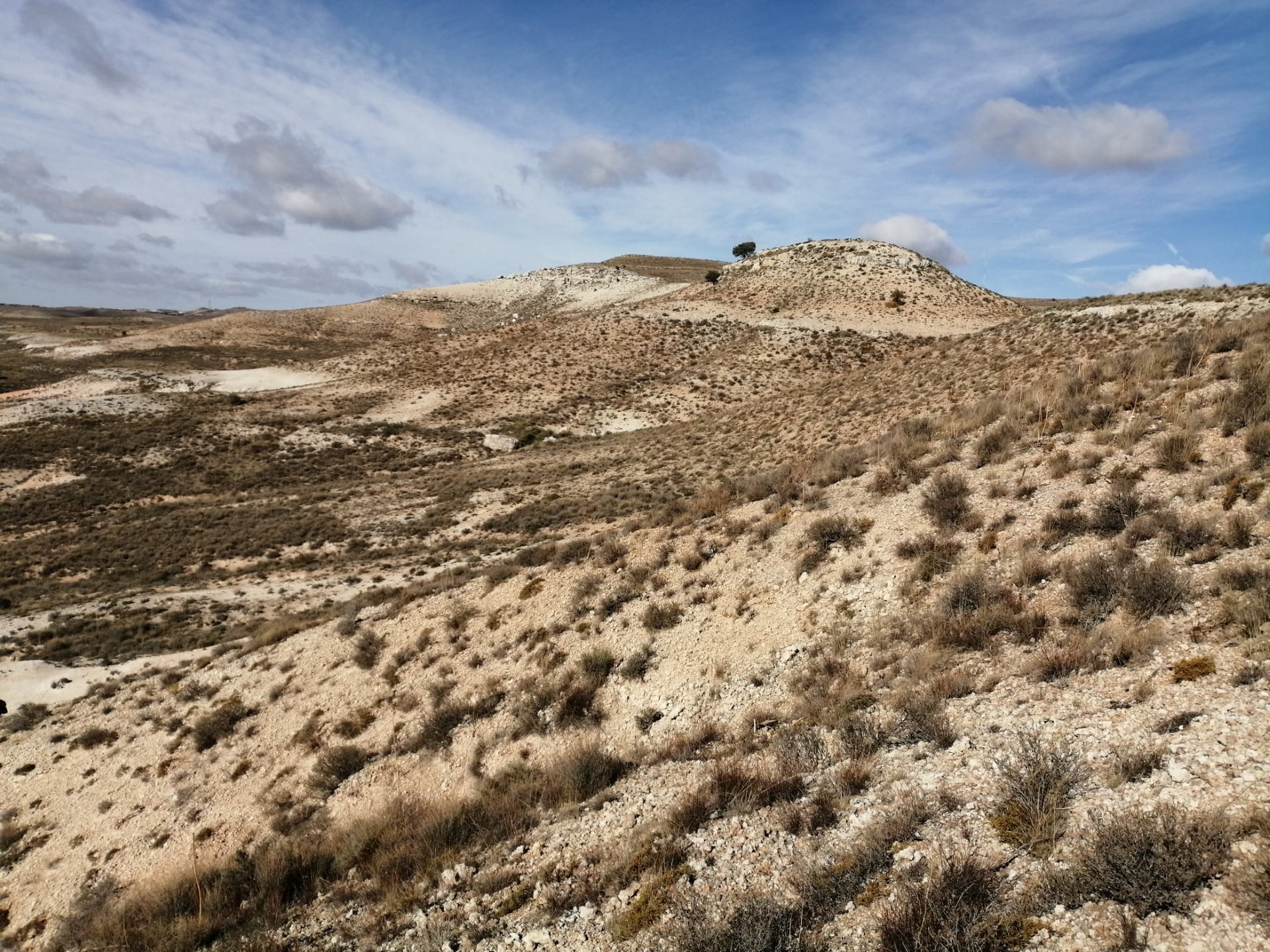 Proyecto de la Asociación Forestal de Soria