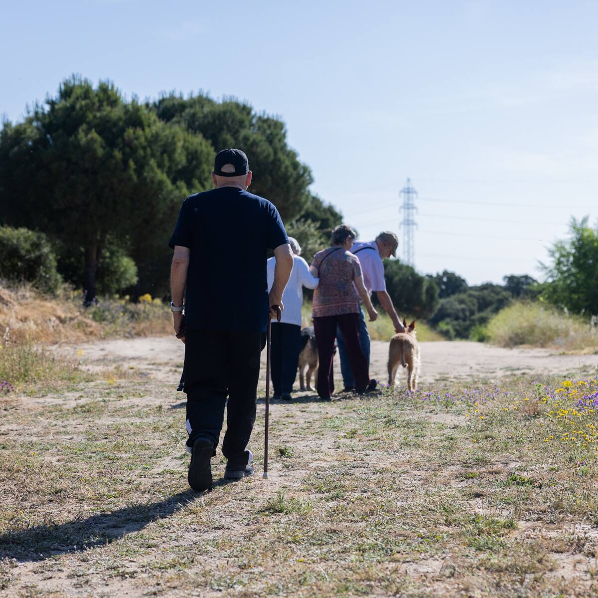 Tres Cantos propone ocho rutas en bici o a pie para disfrutar de la naturaleza en Semana Santa