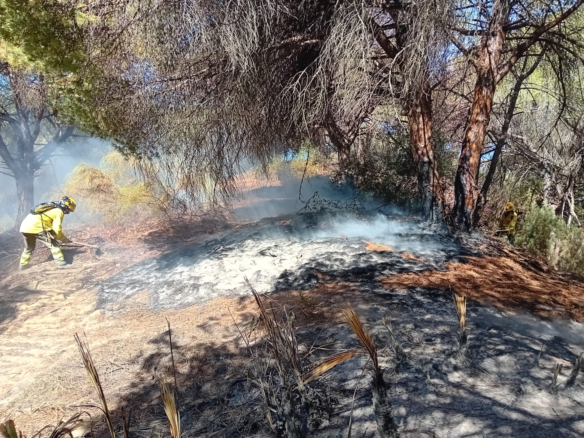 Bomberos forestales intentando sofocar un incendio