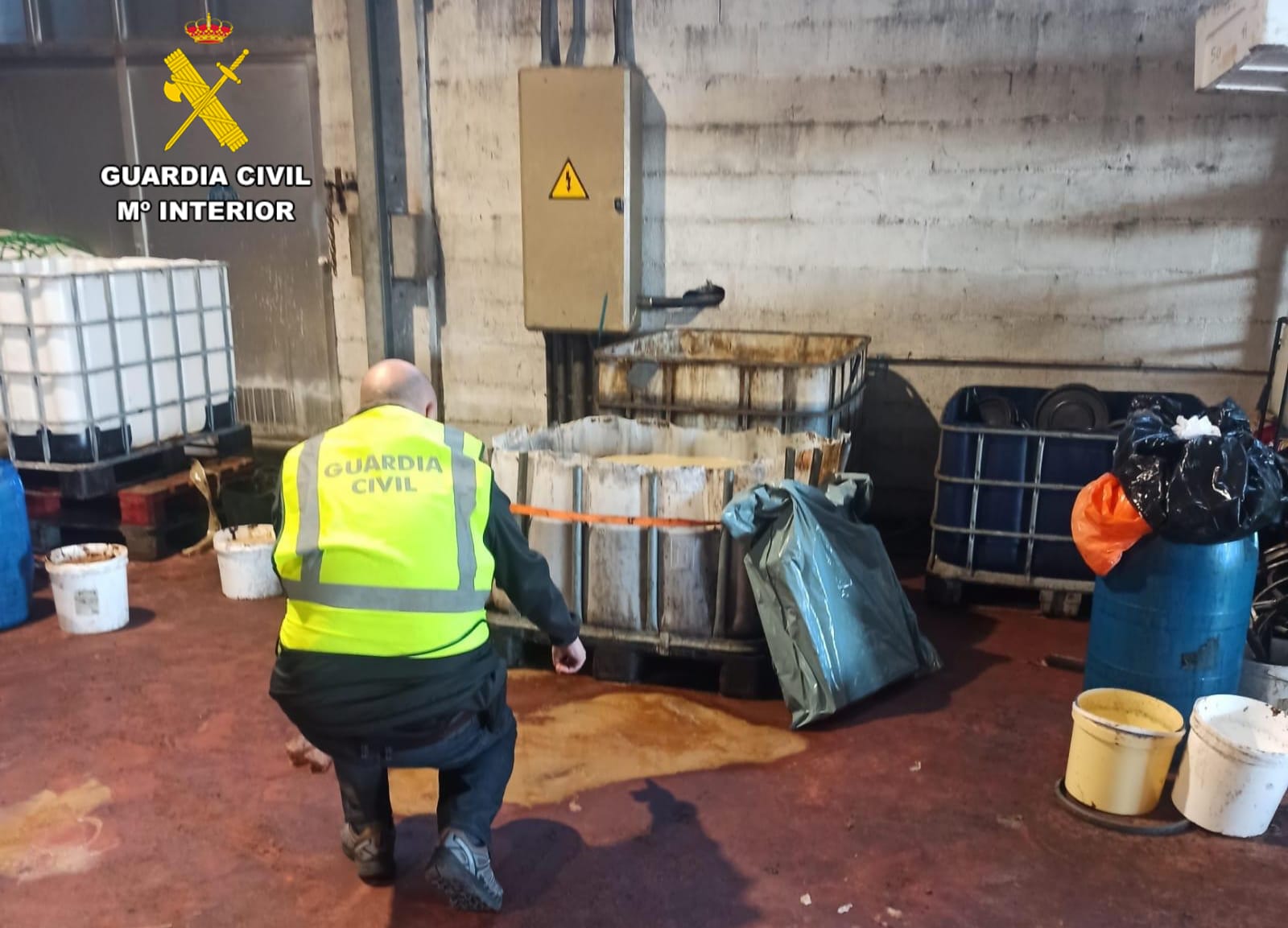 Aceite intervenida por la Guardia Civil.