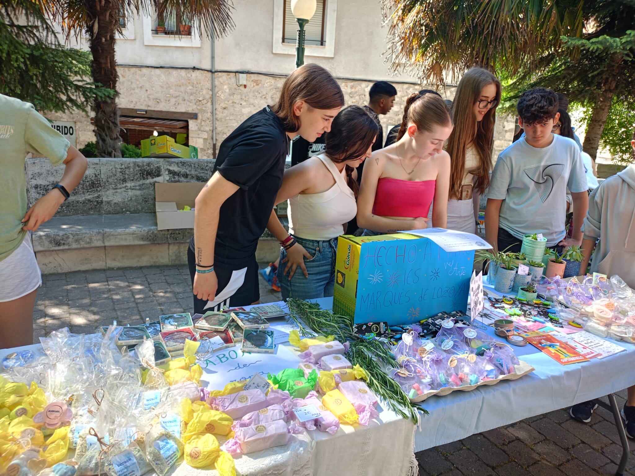 Mercadillo solidario y sostenible de los alumnos del IES Marqués de Lozoya de Cuéllar