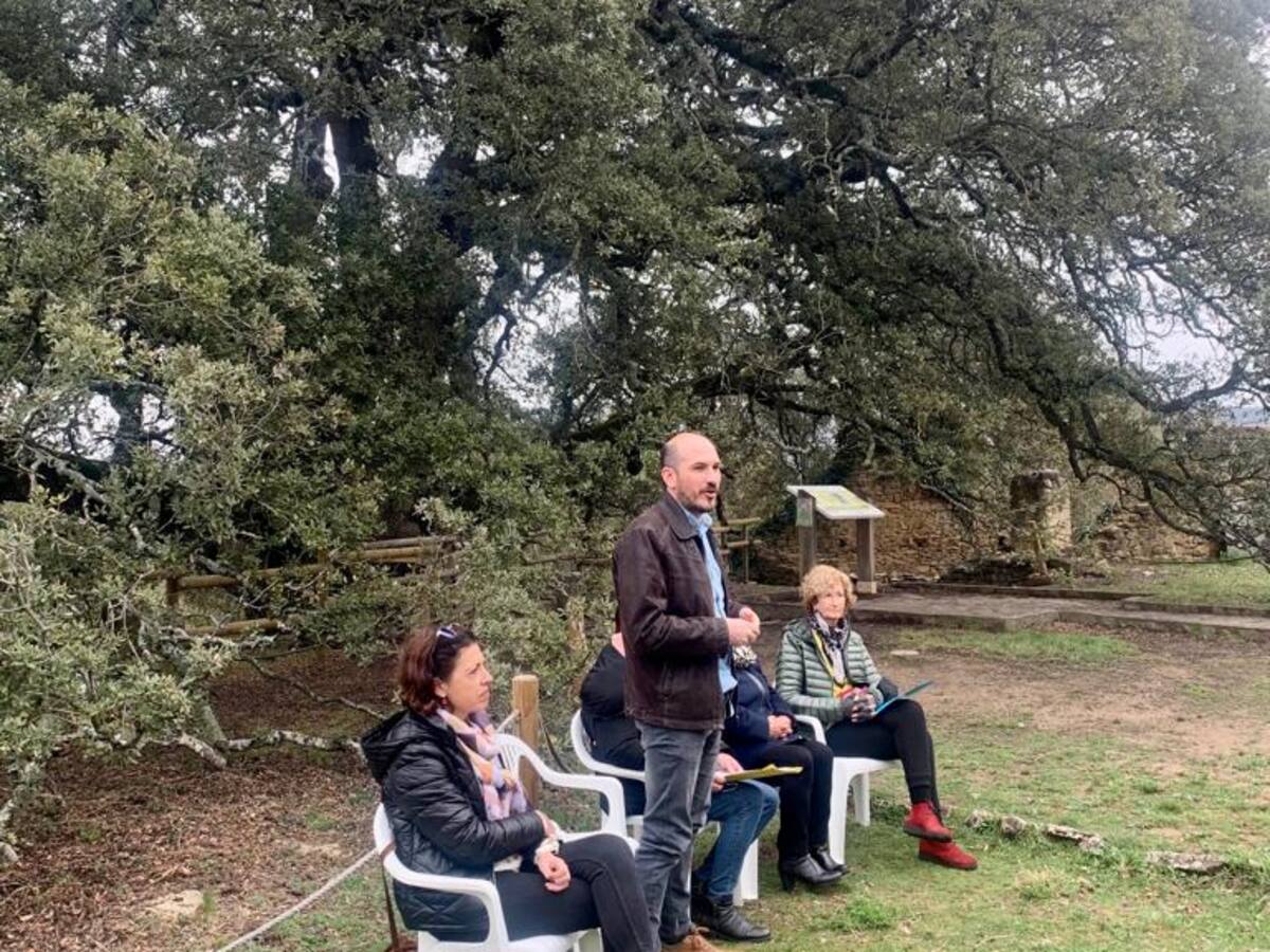 Aragón destinará 200.000 euros para el mantenimiento y conservación de los árboles y arboledas singulares