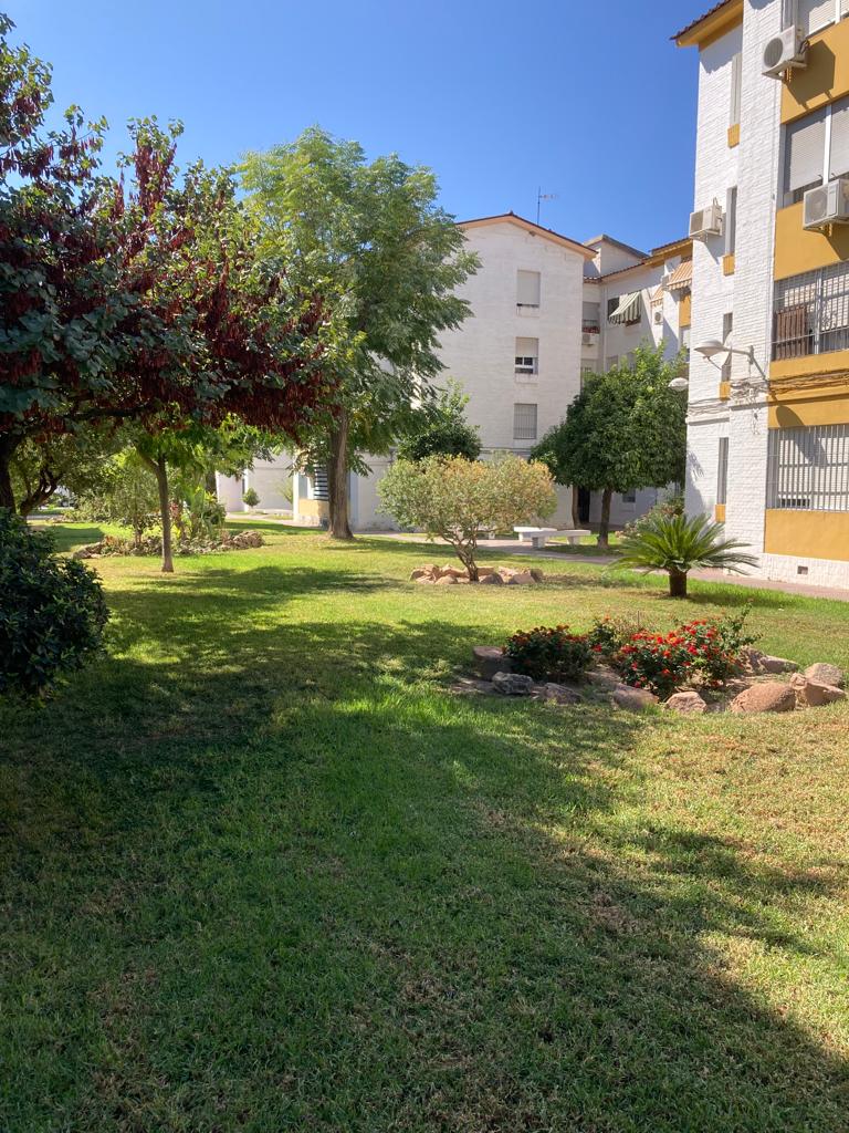 El barrio diseñado por Rafael de la Hoz cumple 50 años