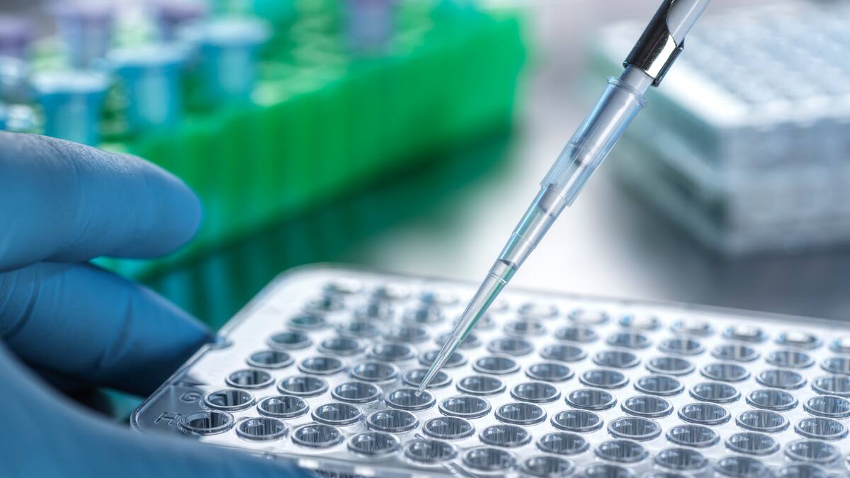 Entrevista al investigador de la Universidade de Vigo, David Posada