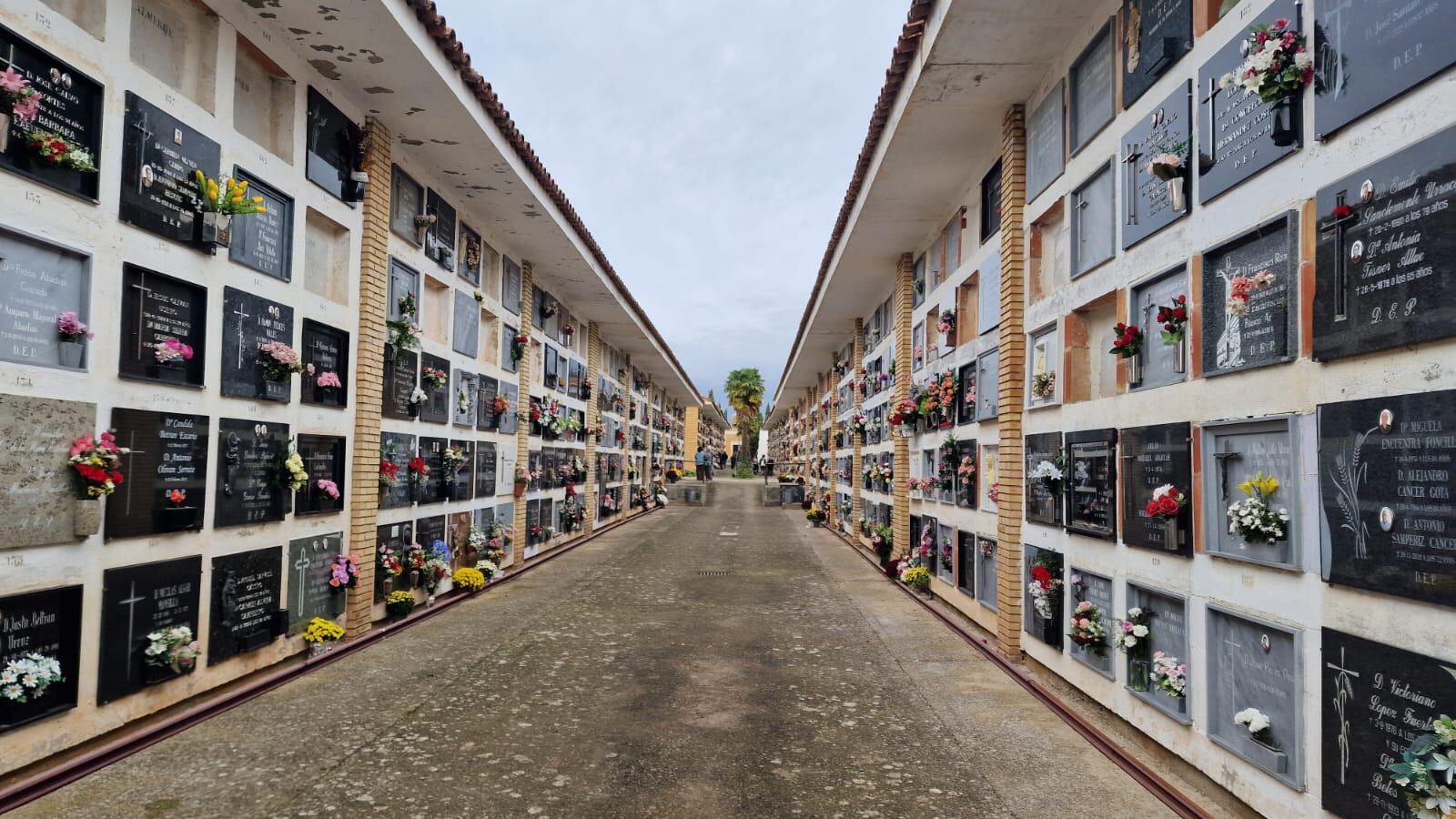 Cementerio de Huesca en este día de Todos los Santos