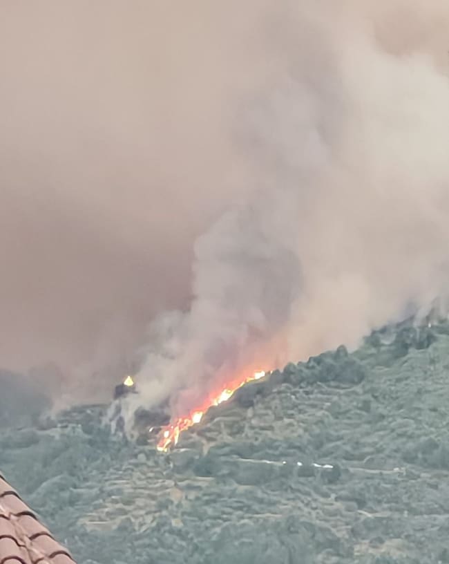 Incendio Barranco de las Cinco Villas (Ávila)./Cedida