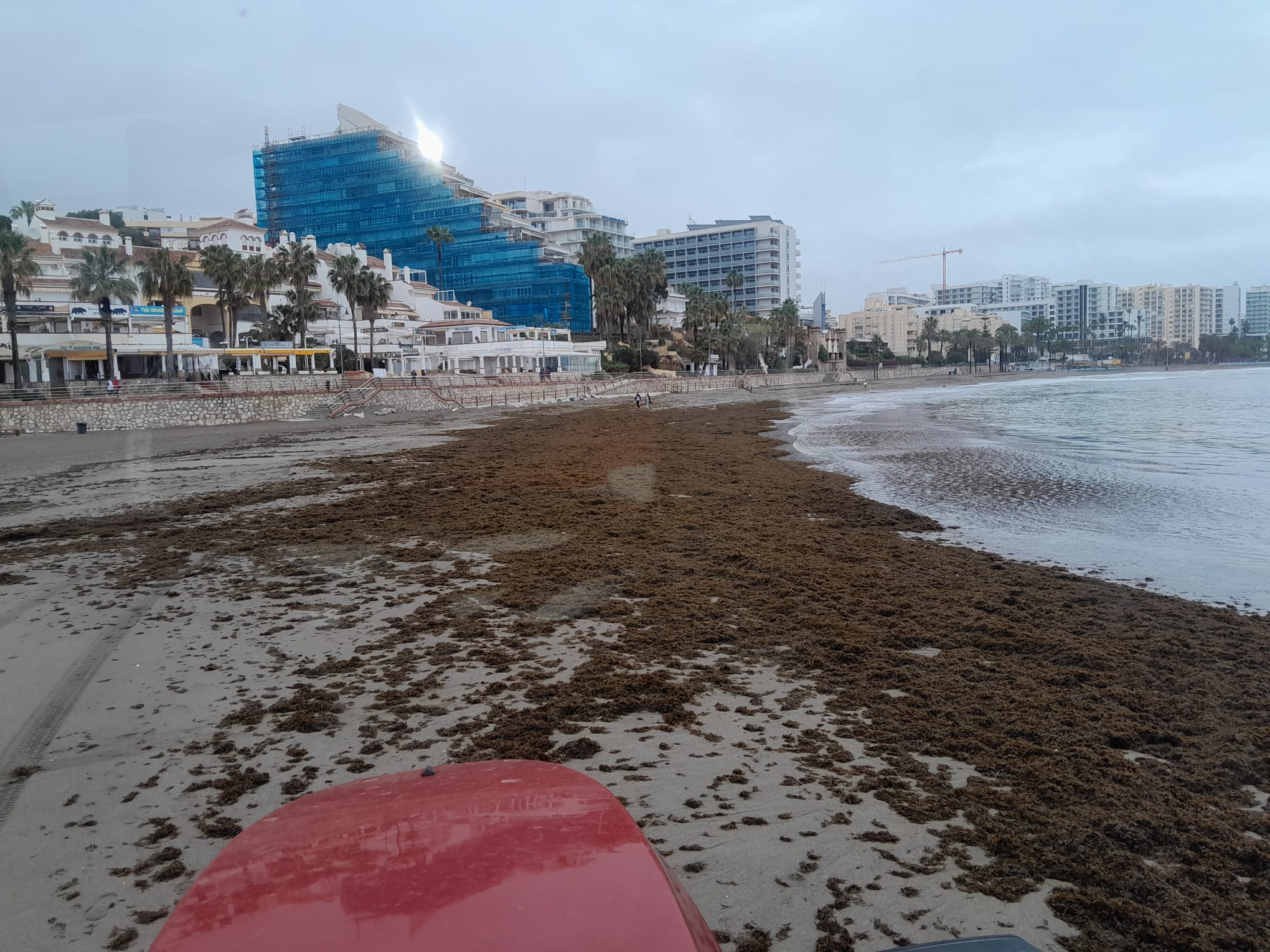 Imagen de las playas de Benalmádena con las algas asiáticas