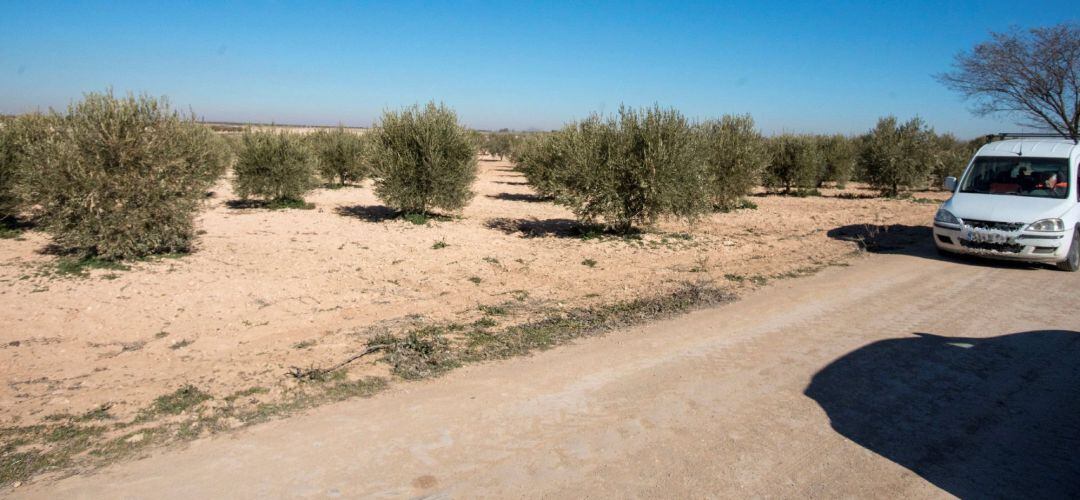 Camino rural de Herencia (Ciudad Real) donde fue hallado el cadáver del fallecido