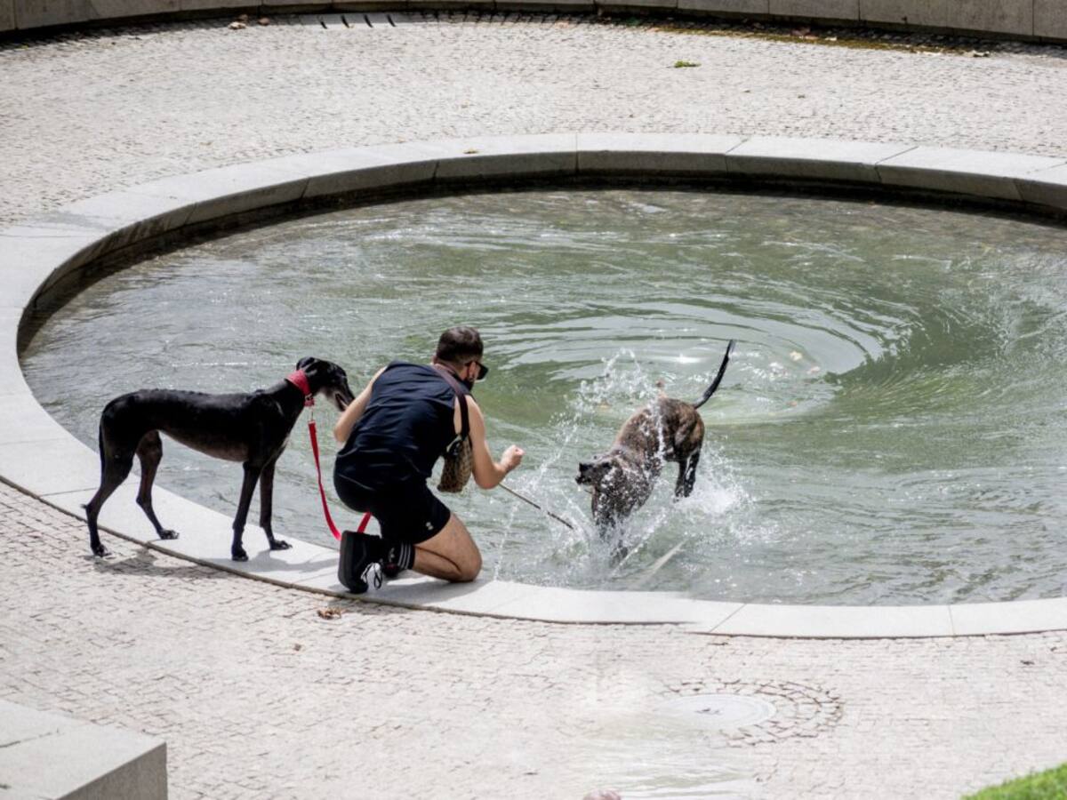 Temperaturas de hasta 34ºC para este domingo en Canarias