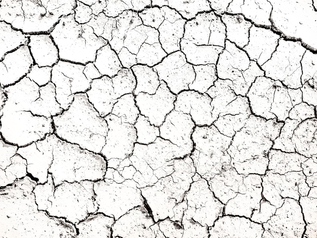 El tóxico efecto dominó que causa el cambio climático