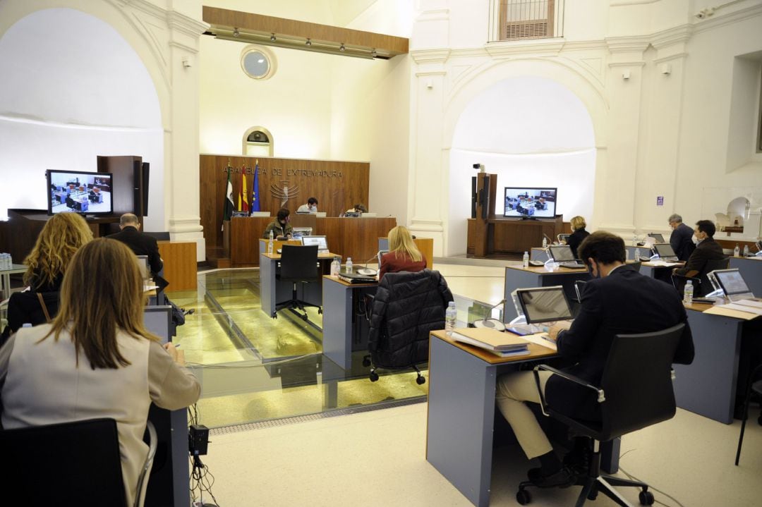 Comisión de Sanidad y Servicios Sociales en la Asamblea