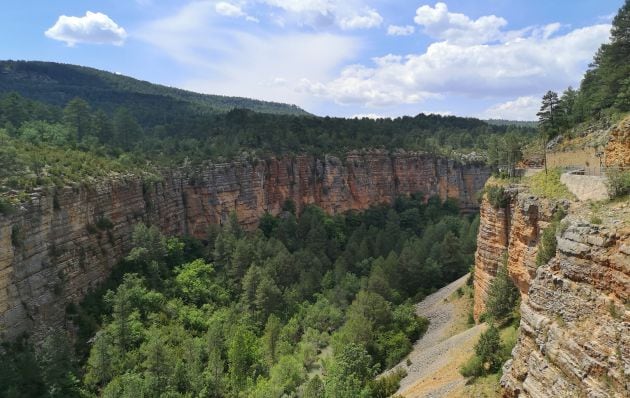 Paisaje típico de la Serranía con pino negral y silvestre rodeados por los grandes cortados calizos de la Muela de la Madera.