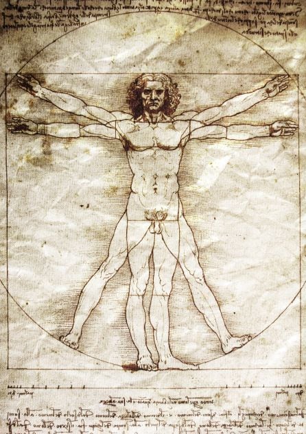 El dibujo de Da Vinci &#039;El hombre de Vitrubio&#039;.