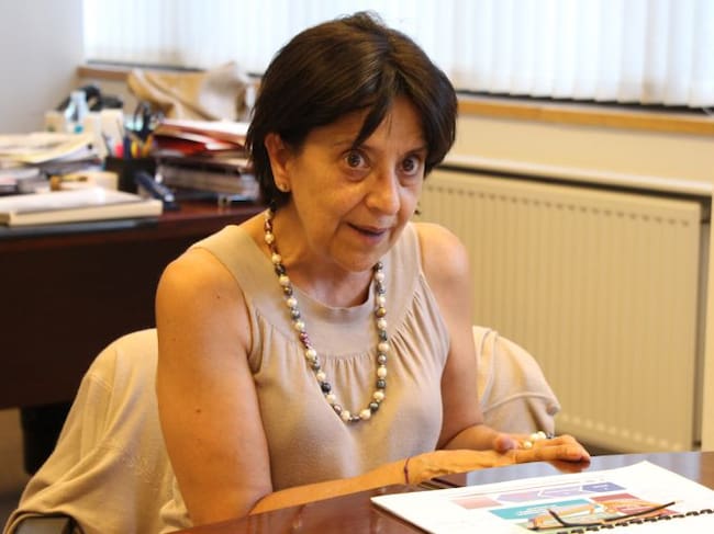 La ministra de Salut, Rosa Ferrer, al seu despatx.