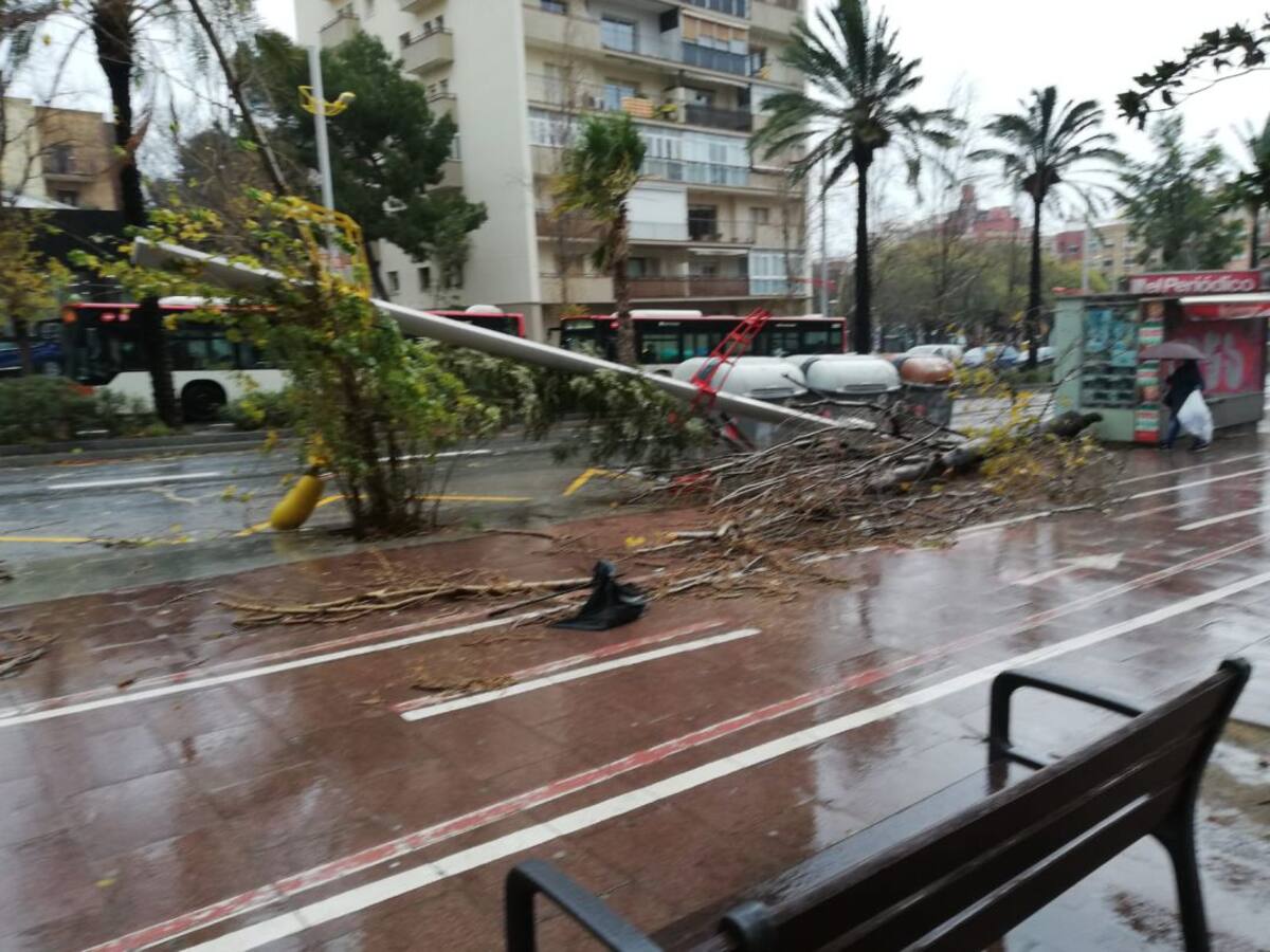 Els Bombers han atès prop de 4.500 serveis pel temporal Gloria