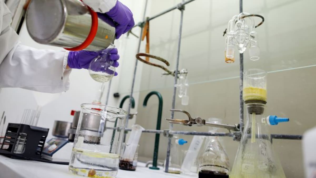 "La industria demanda este perfil tecnólogico concreto"