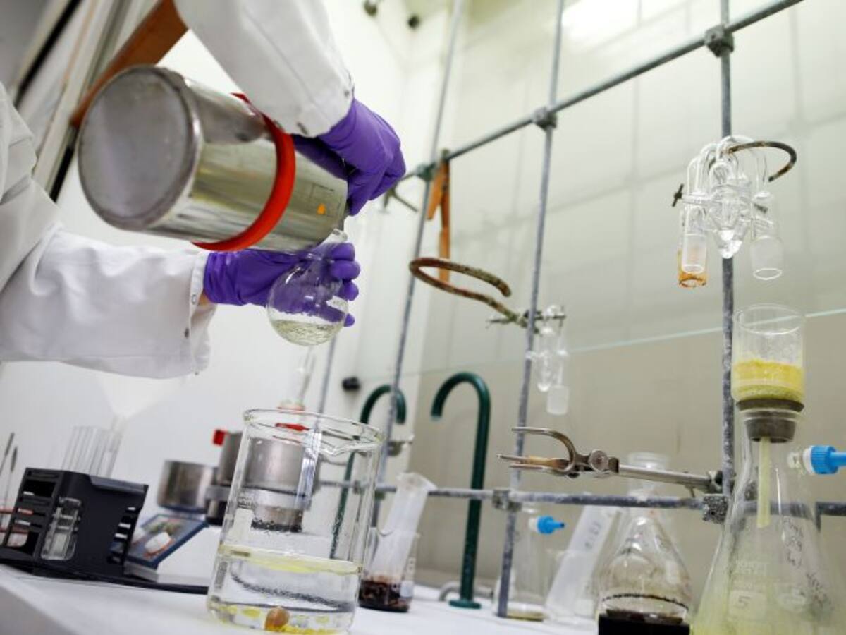 "La industria demanda este perfil tecnólogico concreto"