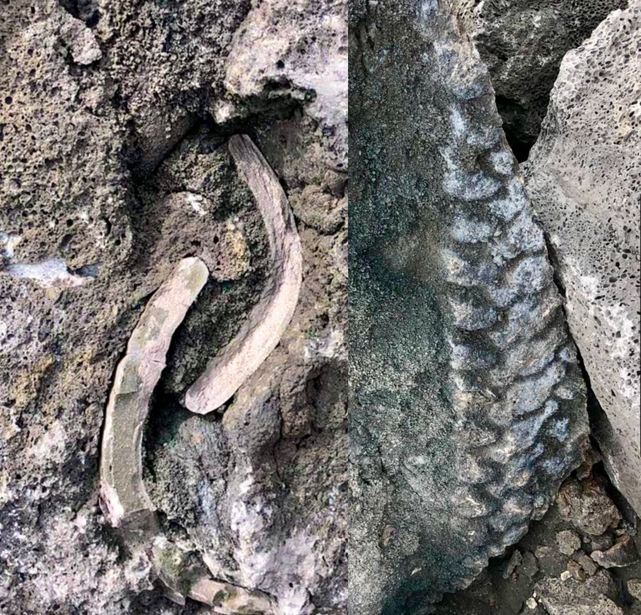 En la lava seca del volcán de La Palma están apareciendo las primeras marcas de la tragedia: tejados petrificados y marcas de los neumáticos de la UME