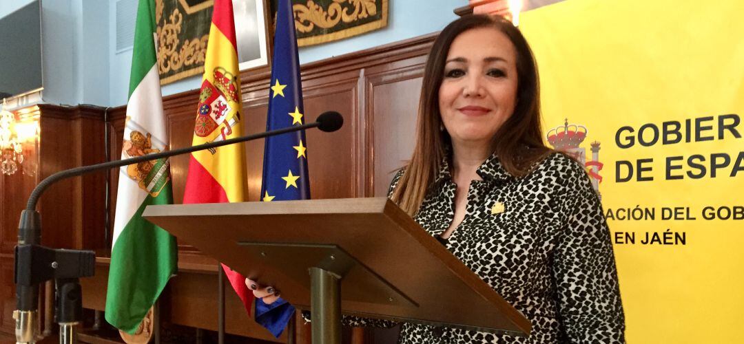 La subdelegada del Gobierno de España en Jaén, Catalina Madueño, muestra su repulsa por los hechos violentos acontecidos en Linares.