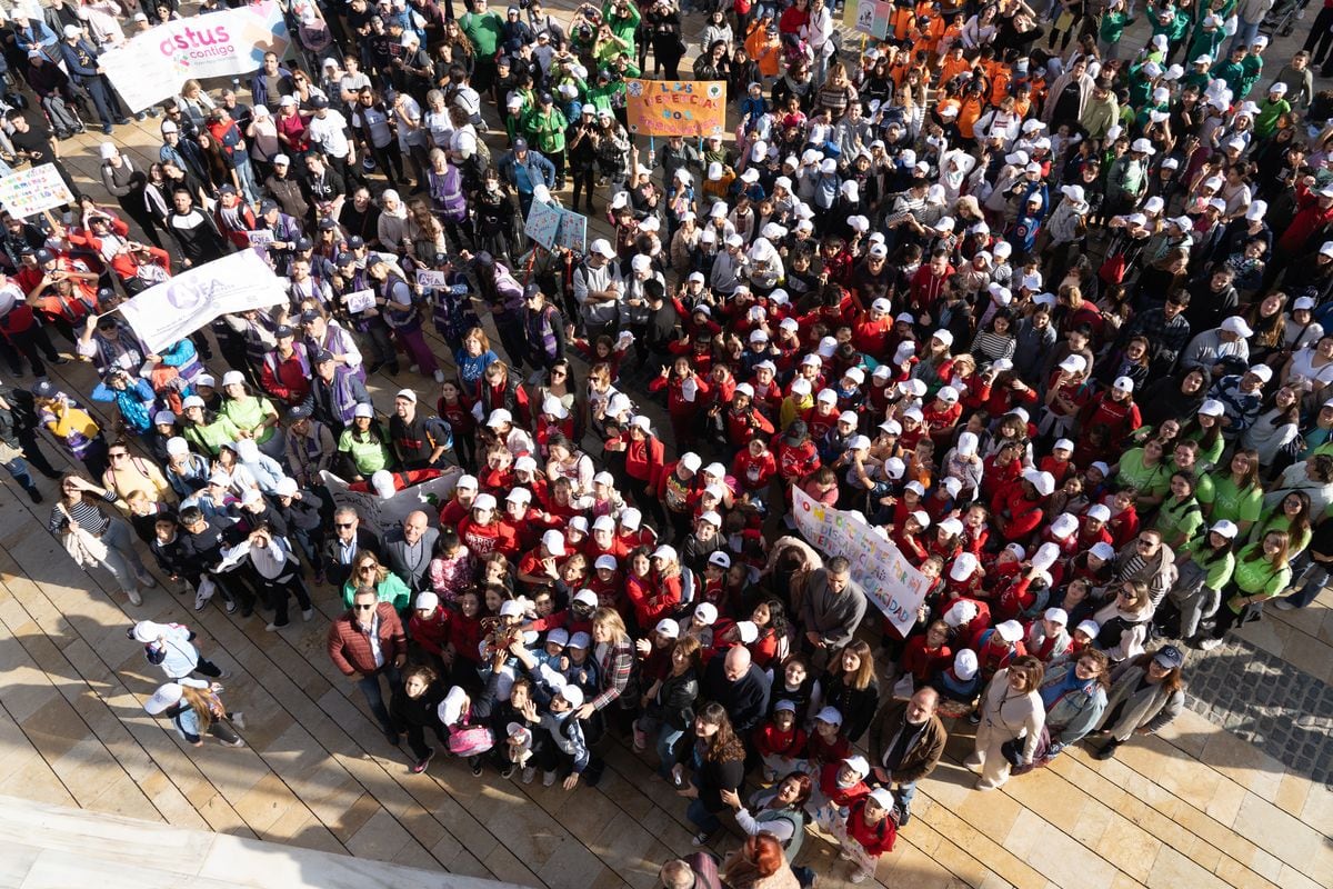 Actos por el Día Internacional de las personas con discapacidad