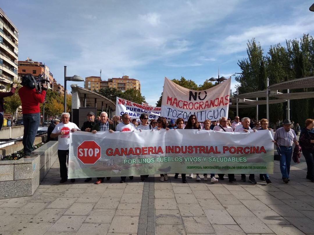 Cabeza de la manifestación contra las macrogranjas de porcino