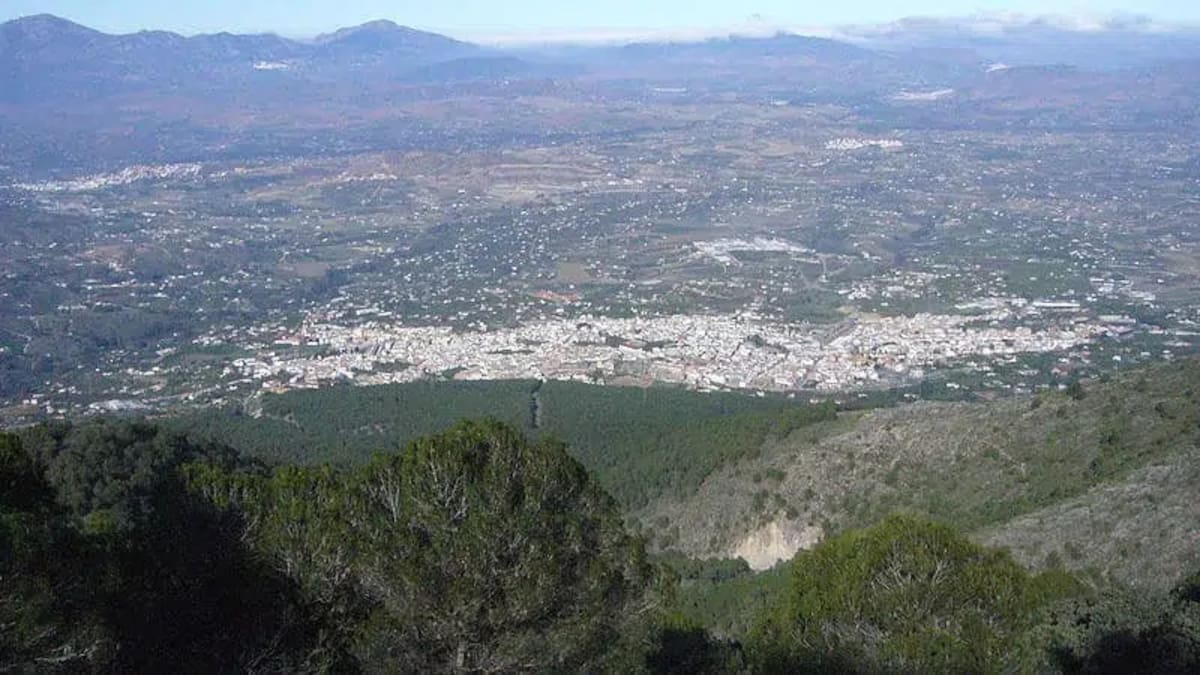 "Málaga va a dos velocidades" María Mato, Fotocasa