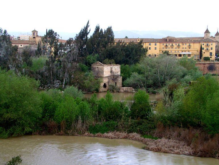 Imagen de uno de los molinos del Rio Guadalquivir abandonado