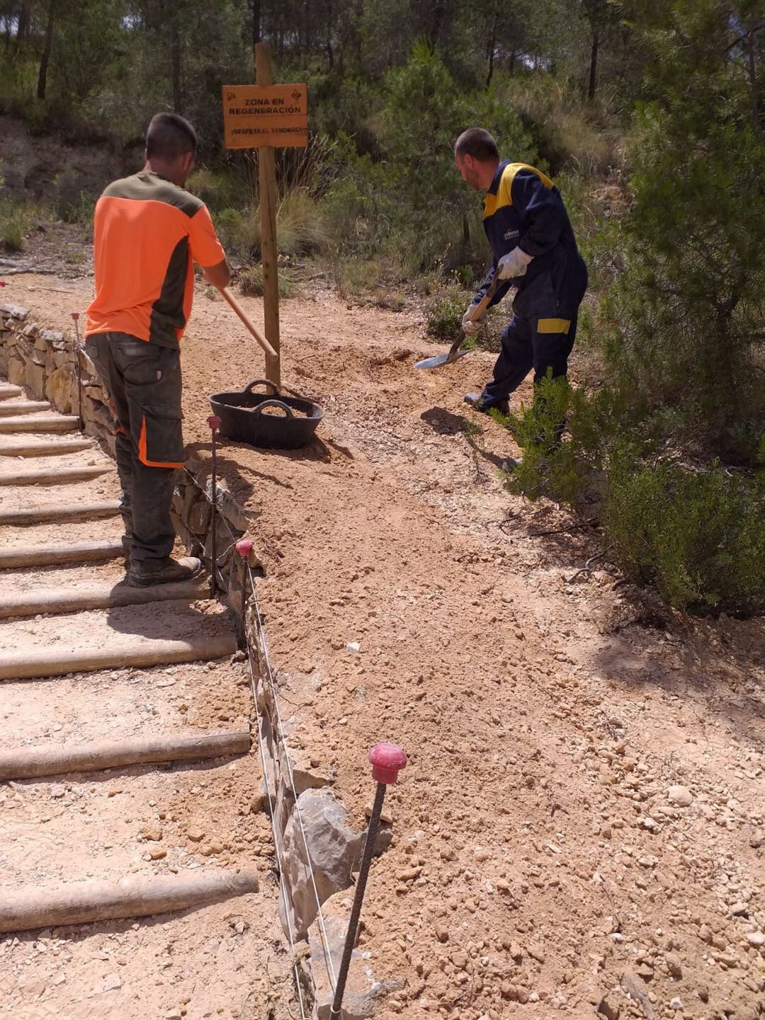Sendero en El Cid de Petrer 