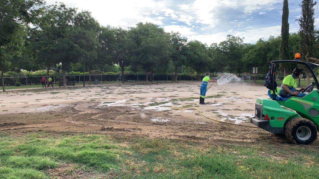 Acondicionamiento de las áreas caninas de Móstoles