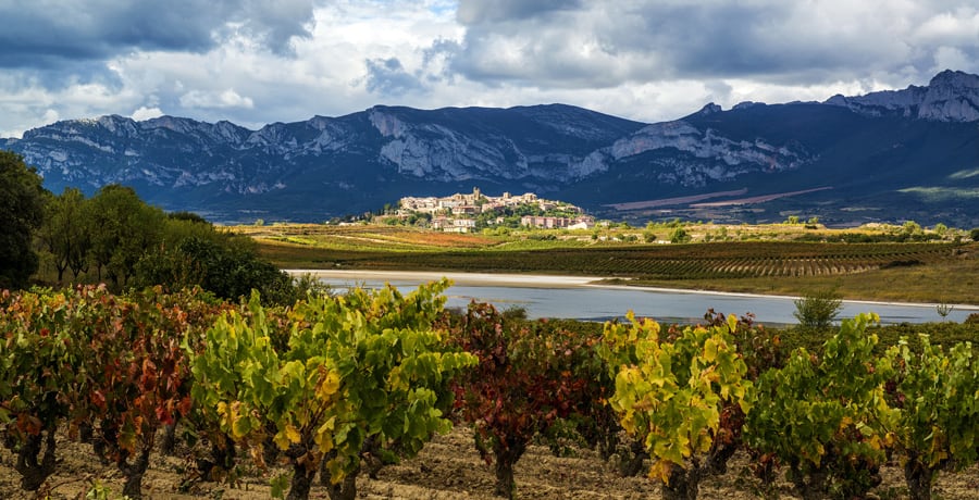 Laguardia (Rioja Alavesa)