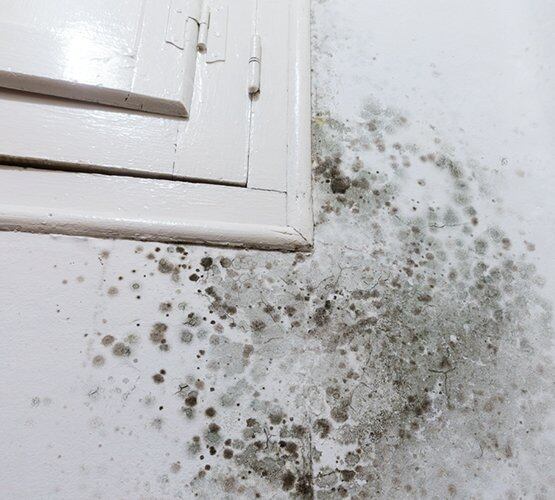 La llegada de los fríos incrementar los daños de humedad.