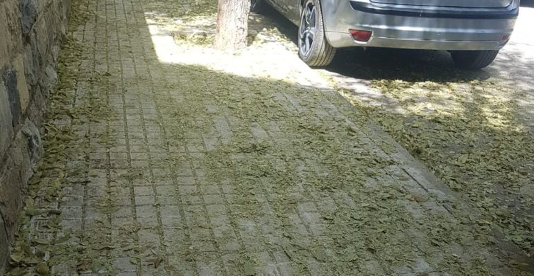 Estado de la Calle Almodóvar.