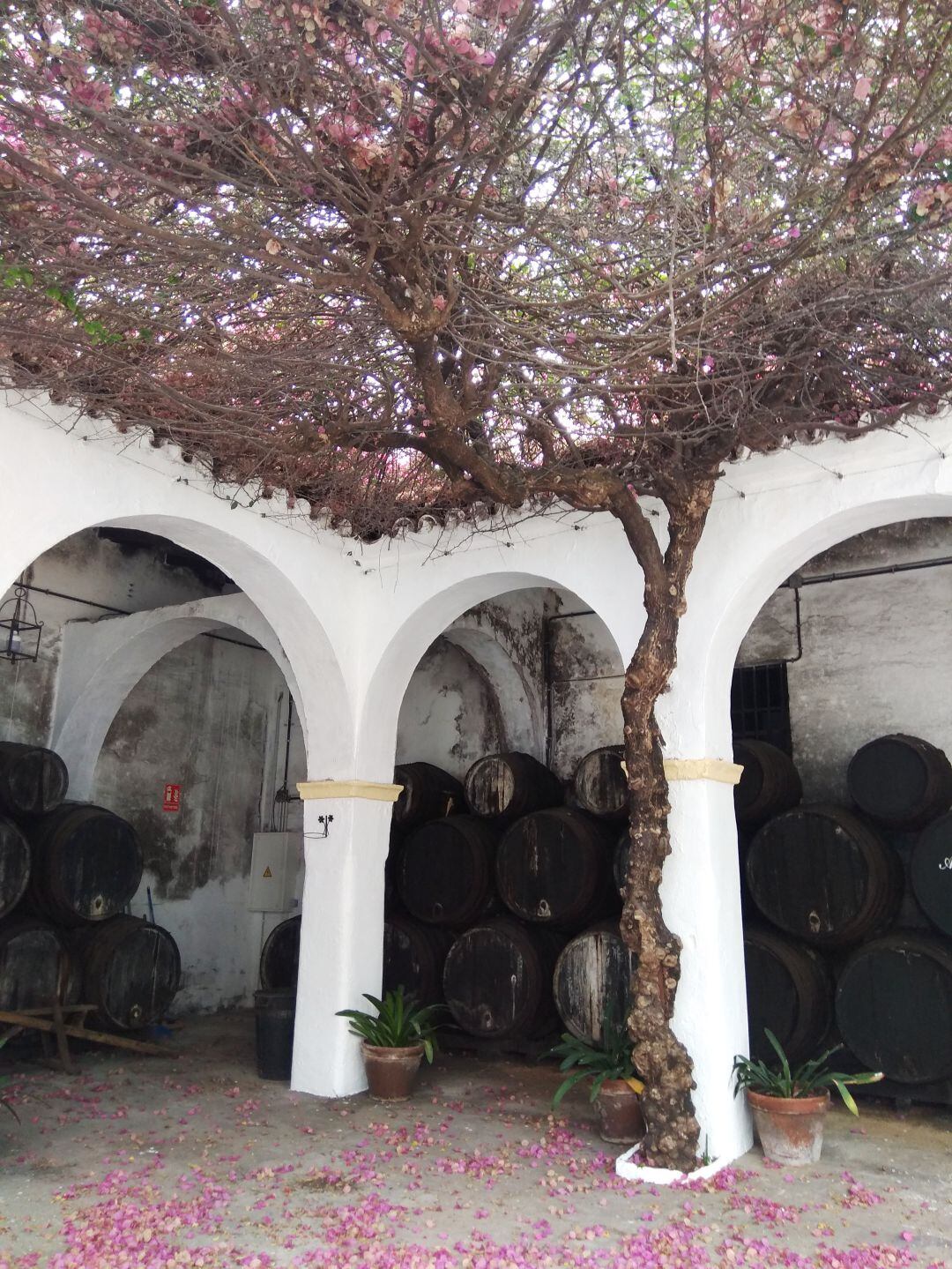 Interior de Lustau, bodega almacenista en sus orígenes que pasó a ser marquista