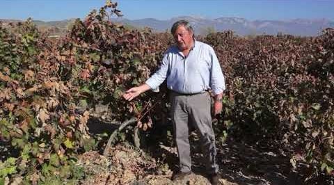 Íñigo Manso de Zúñiga, XI Conde de Hervías