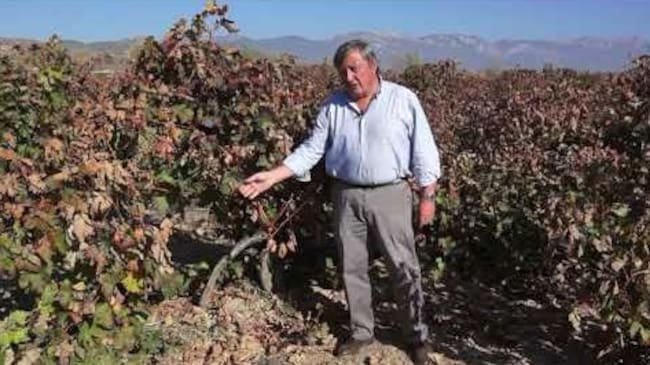 Íñigo Manso de Zúñiga, XI Conde de Hervías