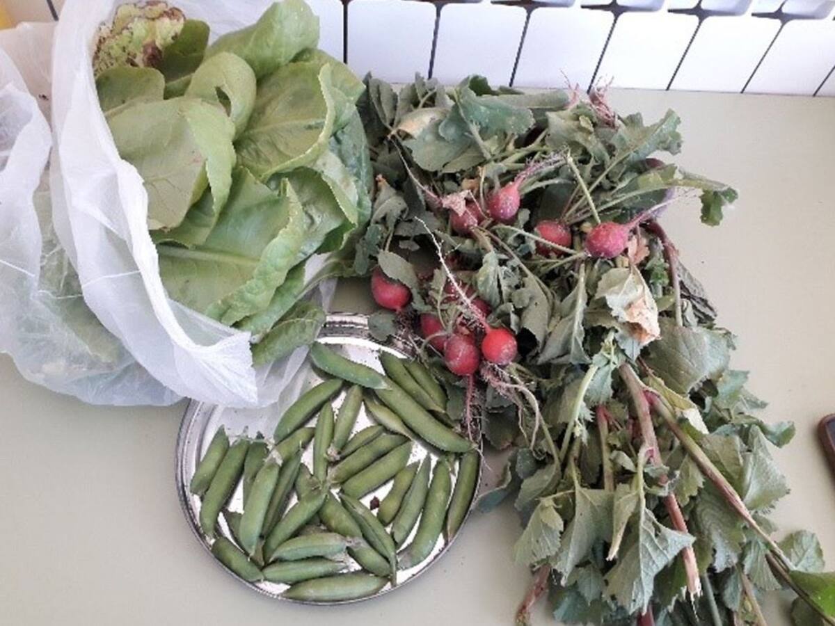 La confusión sobre el trabajo en los huertos