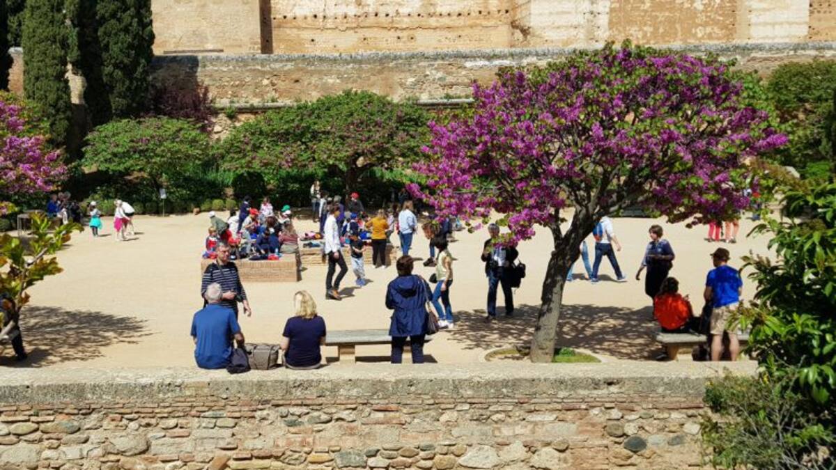 "Protestan porque con el nuevo sistema se ha acabado el negocio de la reventa de entradas"