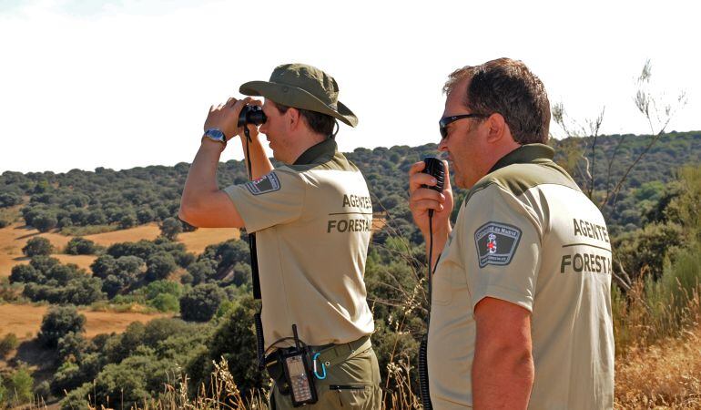 El trabajo de los agentes forestales es básico en la prevención y extinción de encendios durante todo el año