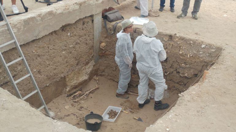 Fosa norte del cementerio de San José de Cádiz donde se han hallado restos de dos posibles represaliados en la Guerra Civil