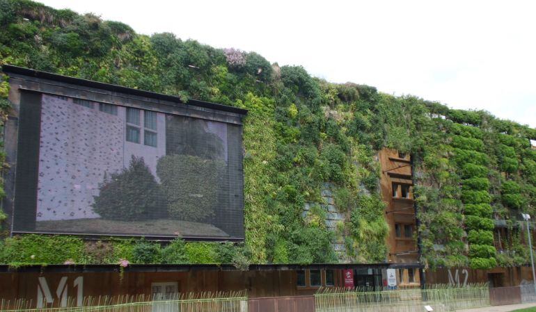Jardí Vertical de La Tabacalera. 