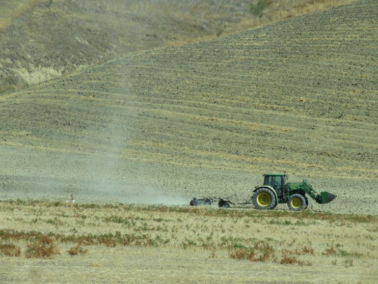 Un tractor arregla un campo agricola afectado por la sequía