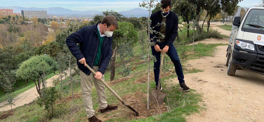 El alcalde participa en la plantación